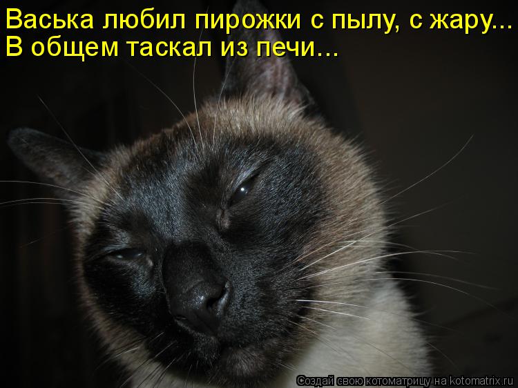 Котоматрица: Васька любил пирожки с пылу, с жару... В общем таскал из печи...