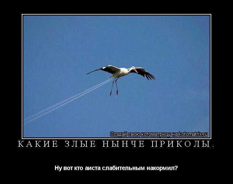Котоматрица: Какие злые нынче приколы. Ну вот кто аиста слабительным накормил?