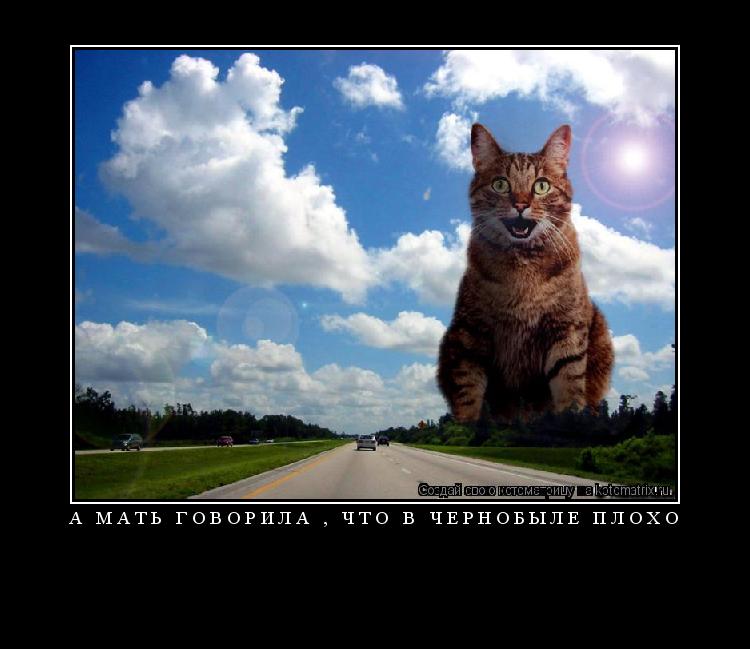 а мать говорила , что в чернобыле плохо ... Котоматрица: а мать говорила , что в чернобыле плохо