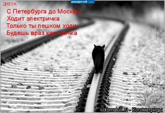 Котоматрица: С Петербурга до Москвы Ходит электричка Только ты пешком ходи Будешь враз как спичка ДИЕТА: