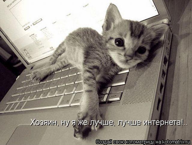 Котоматрица: Хозяин, ну я же лучше, лучше интернета!..