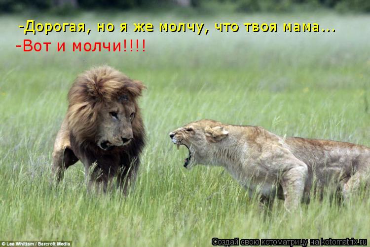 -Дорогая, но я же молчу, что твоя мама... -Вот и молчи!!!!... Котоматрица: -Дорогая, но я же молчу, что твоя мама... -Вот и молчи!!!!