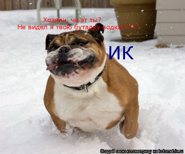 Котоматрица: Хозяин, че эт ты? Не видел я твою бутадку водки!!!!!!! ИК