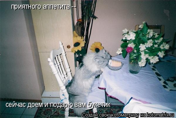 Котоматрица: приятного аппетита -- сейчас доем и подарю вам букетик