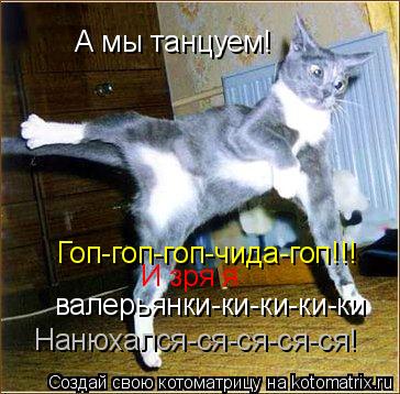 Котоматрица: А мы танцуем! Гоп-гоп-гоп-чида-гоп!!! И зря я                  валерьянки-ки-ки-ки-ки              Нанюхался-ся-ся-ся-ся!
