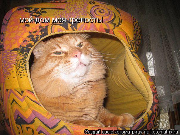 Котоматрица: мой дом моя крепость!