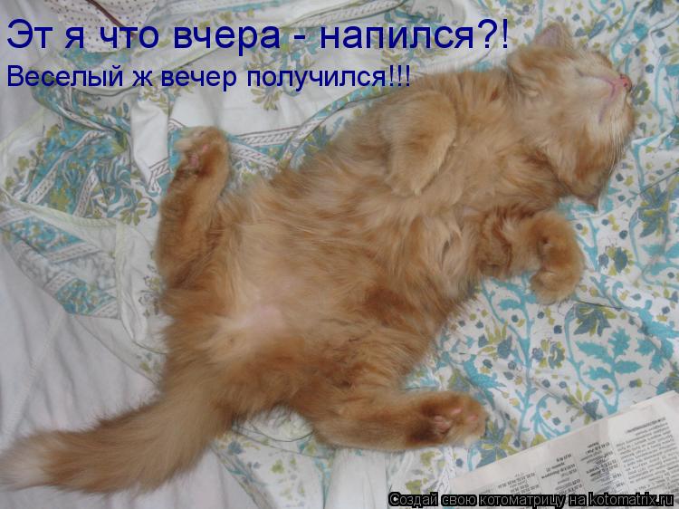 Котоматрица: Эт я что вчера - напился?! Веселый ж вечер получился!!!