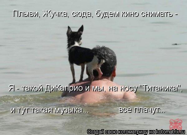 Котоматрица: Плыви, Жучка, сюда, будем кино снимать -  Я - такой ДиКаприо и мы, на носу "Титаника", и тут такая музыка... все плачут...