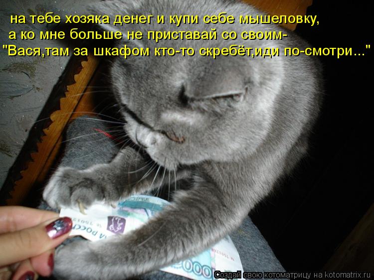 Котоматрица: на тебе хозяка денег и купи себе мышеловку, а ко мне больше не приставай со своим- "Вася,там за шкафом кто-то скребёт,иди по-смотри..."