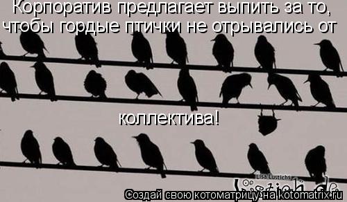 Котоматрица: коллектива! Корпоратив предлагает выпить за то, чтобы гордые птички не отрывались от