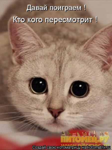 Котоматрица: Давай поиграем !  Кто кого пересмотрит !