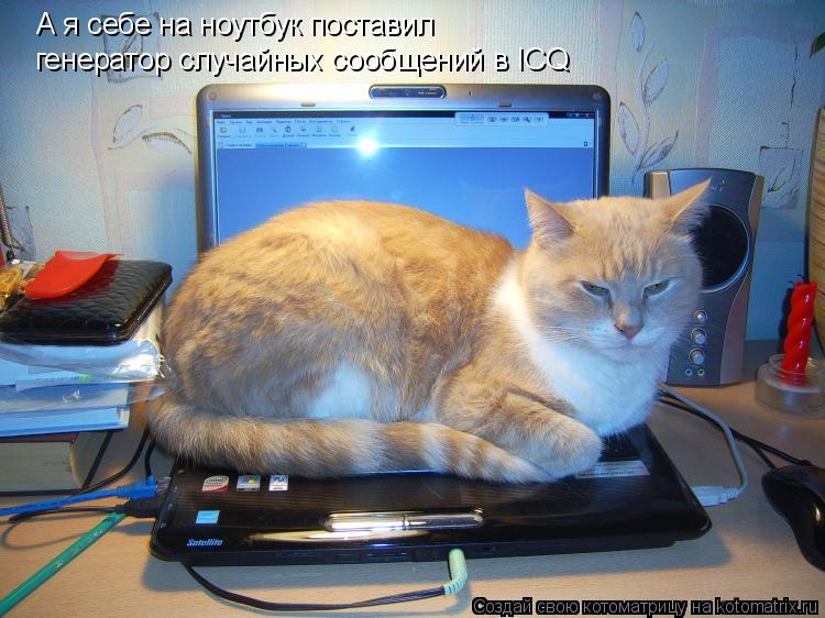 Котоматрица: А я себе на ноутбук поставил генератор случайных сообщений в ICQ