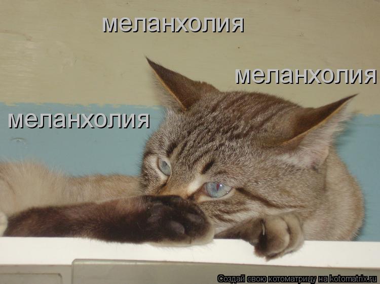 Котоматрица: меланхолия меланхолия меланхолия