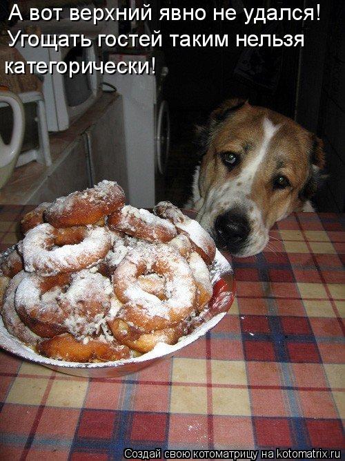 А вот верхний явно не удался! Угощать гостей таким нельзя категорически!... Котоматрица: А вот верхний явно не удался! Угощать гостей таким нельзя категорически!