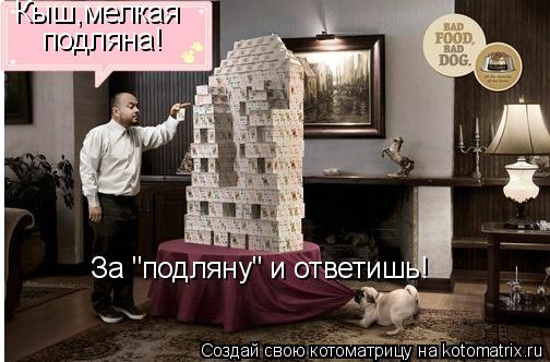 Котоматрица: Кыш,мелкая подляна! За "подляну" и ответишь!