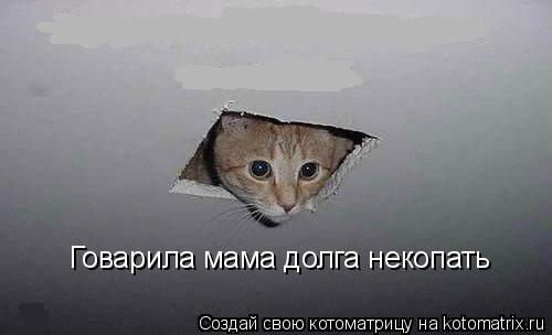 Котоматрица: Говарила мама долга некопать
