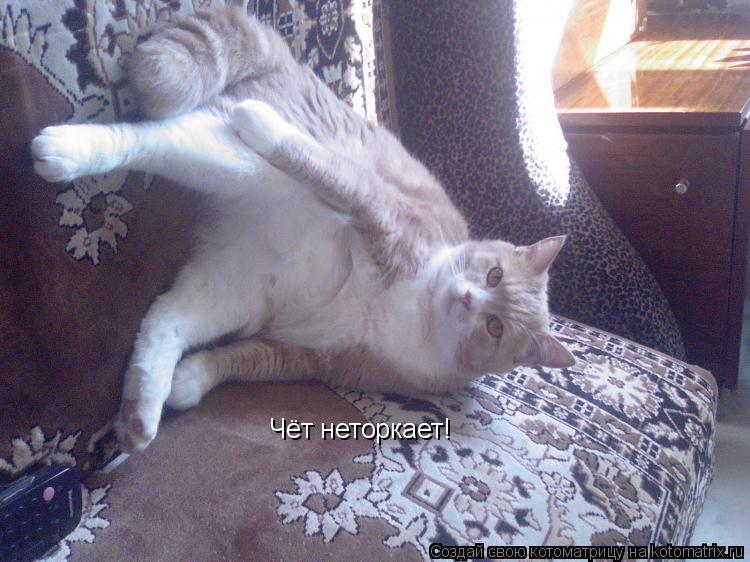 Котоматрица: Чёт неторкает!