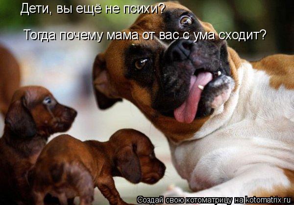 Котоматрица: Дети, вы ещё не психи? Тогда почему мама от вас с ума сходит?