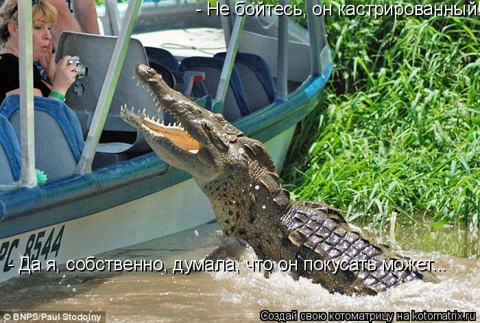 Котоматрица: - Не бойтесь, он кастрированный!! - Да я, собственно, думала, что он покусать может...