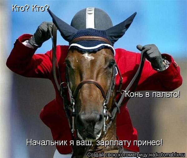 Котоматрица: Кто? Кто? Конь в пальто! Начальник я ваш, зарплату принес!