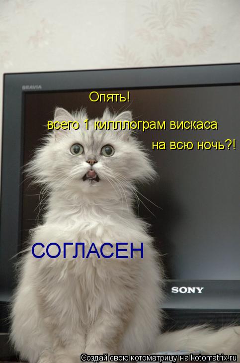 Котоматрица: Опять! всего 1 килллограм вискаса на всю ночь?! СОГЛАСЕН