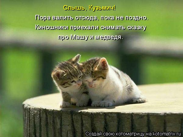 Котоматрица: Слышь, Кузьмич! Пора валить отсюда, пока не поздно. Киношники приехали снимать сказку про Машу и медведя.