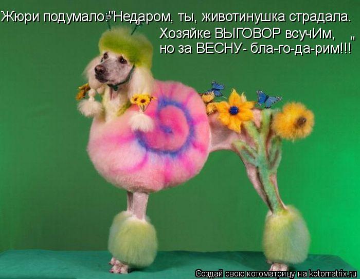 Котоматрица: Жюри подумало:"Недаром, ты, животинушка страдала. Хозяйке ВЫГОВОР всучИм, но за ВЕСНУ- бла-го-да-рим!!! "