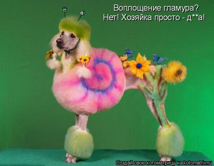 Воплощение гламура? Нет! Хозяйка просто - д**а!... Котоматрица: Воплощение гламура? Нет! Хозяйка просто - д**а!