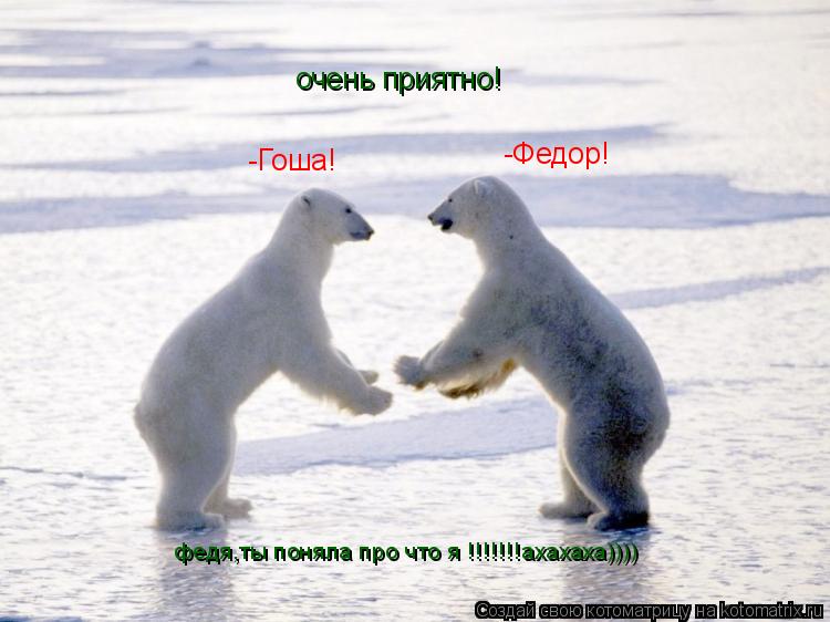 Котоматрица: -Гоша! -Гоша!     -Федор! очень приятно! федя,ты поняла про что я !!!!!!!ахахаха))))