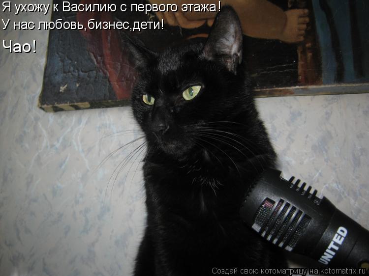 Котоматрица: Я ухожу к Василию с первого этажа ! У нас любовь,бизнес,дети! Чао!