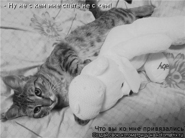 Котоматрица: - Ну не с кем мне спать не с кем! Что вы ко мне привязались?