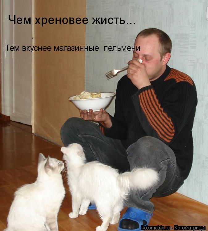 Котоматрица: Тем вкуснее магазинные  пельмени Чем хреновее жисть...