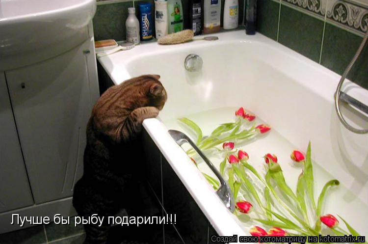 Котоматрица: Лучше бы рыбу подарили!!!