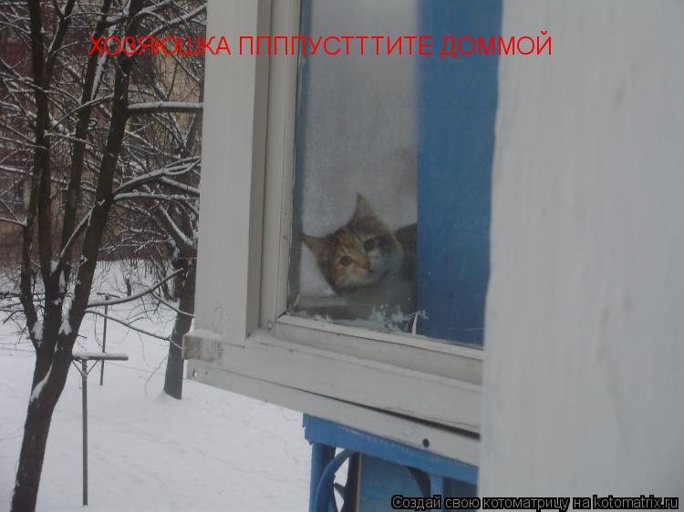 Котоматрица: ХОЗЯЮШКА ППППУСТТТИТЕ ДОММОЙ УЖ БОЛЬНО ХХХОЛОДНО ХОЗЯЮШКА ППППУСТТТИТЕ ДОММОЙ