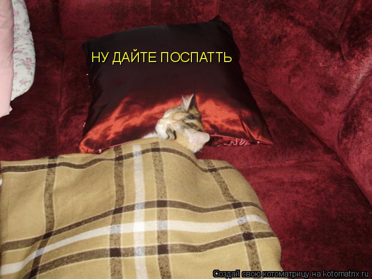 Котоматрица: НУ ДАЙТЕ ПОСПАТТЬ