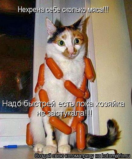 Котоматрица: Нехрена себе сколько мяса!!! Надо быстрей есть пока хозяйка не застукала!!!