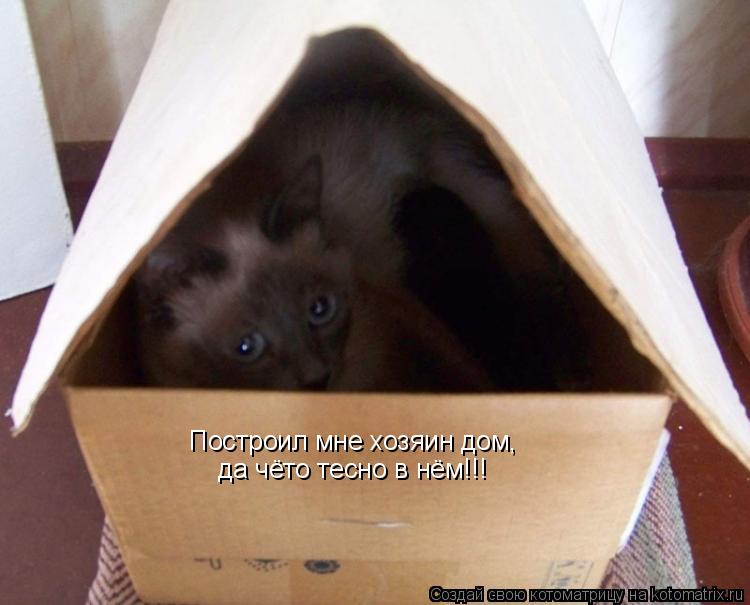 Котоматрица: Построил мне хозяин дом, да чёто тесно в нём!!!