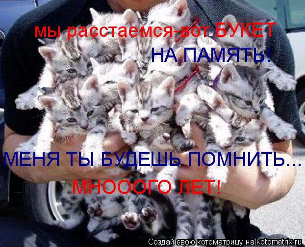 Котоматрица: НА ПАМЯТЬ! МЕНЯ ТЫ БУДЕШЬ ПОМНИТЬ... НА ПАМЯТЬ! мы расстаемся-вот БУКЕТ МНОООГО ЛЕТ!