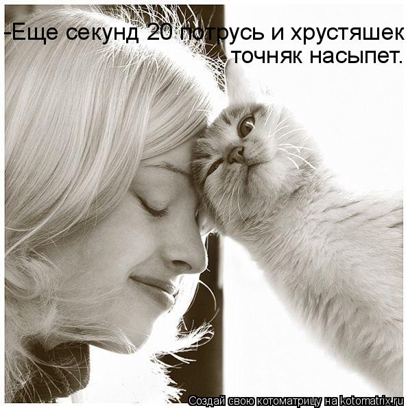Котоматрица: -Еще секунд 20 потрусь и хрустяшек точняк насыпет.