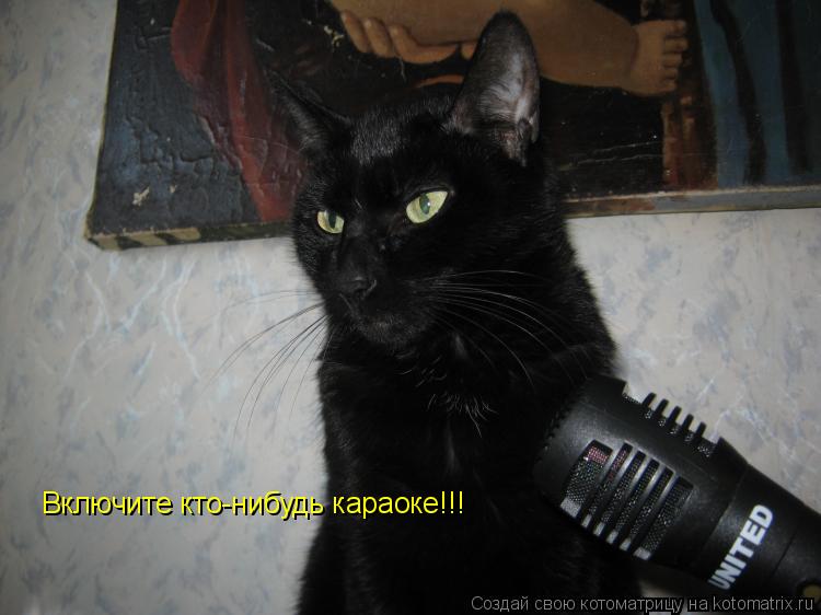 Котоматрица: Включите кто-нибудь караоке!!!