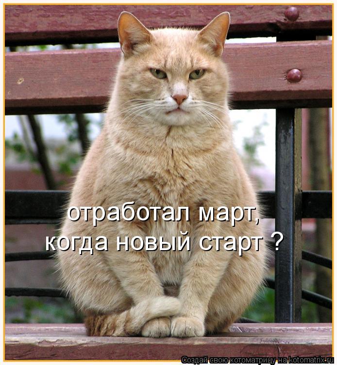отработал март, когда новый старт ?... Котоматрица: отработал март, когда новый старт ?