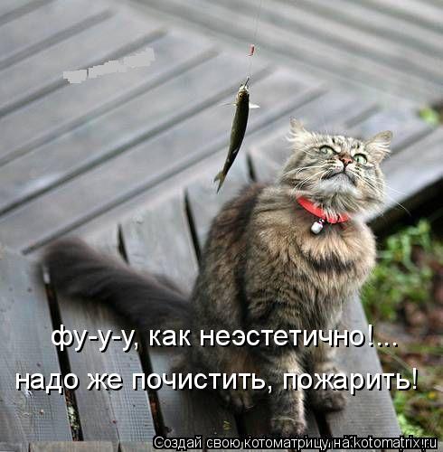 Котоматрица: фу-у-у, как неэстетично! надо же почистить, пожарить! ...