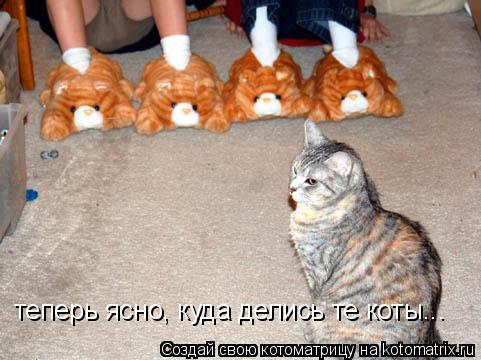 Котоматрица: теперь ясно, куда делись те коты...