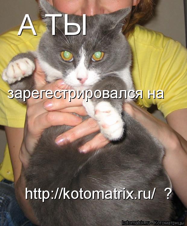 Котоматрица: А ТЫ зарегестрировался на http://kotomatrix.ru/  ?