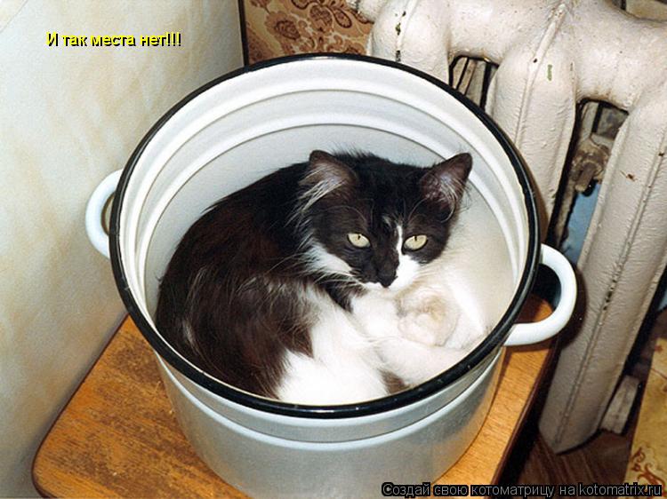 Котоматрица: И так места нет!!!
