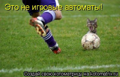 Котоматрица: Это не игровые автоматы!