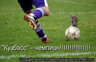 Котоматрица: "Кузбасс" - чемпион!!!!!!!!!!!!!!!!
