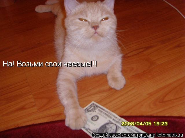 Котоматрица: На! Возьми свои чаевые!!!