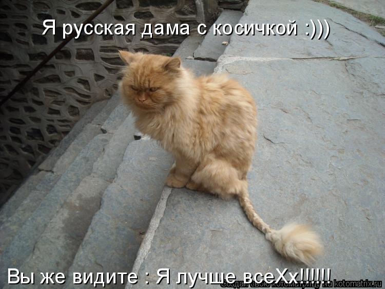Котоматрица: Я русская дама с косичкой :))) Вы же видите : Я лучше всеХх!!!!!!