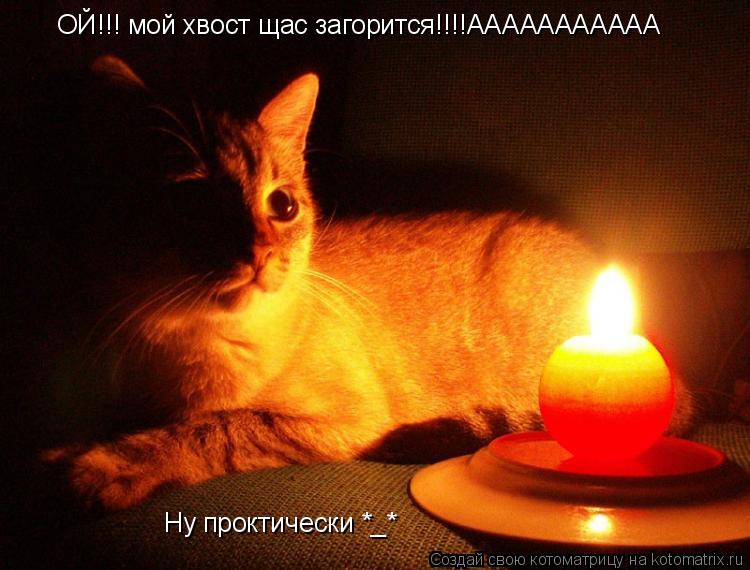 Котоматрица: ОЙ!!! мой хвост щас загорится!!!!ААААААААААА Ну проктически *_*